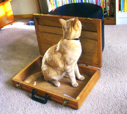 Interior of Briefcase